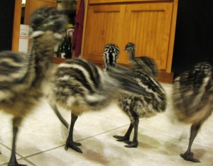 What's the name for that?