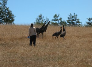 Perhaps a little supervision is in order