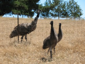 Hey, watch your back!