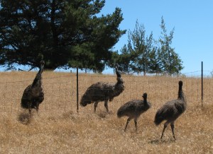 Maybe not so friendly