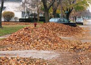 Hope the wind doesn't blow!