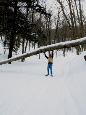 Hands-free, with snowshoes!