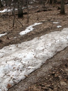 The path, compacted by hardy winter hikers, may be the last to melt.