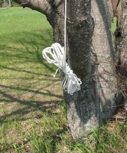 INVEST IN SOLAR AND WIND POWER!