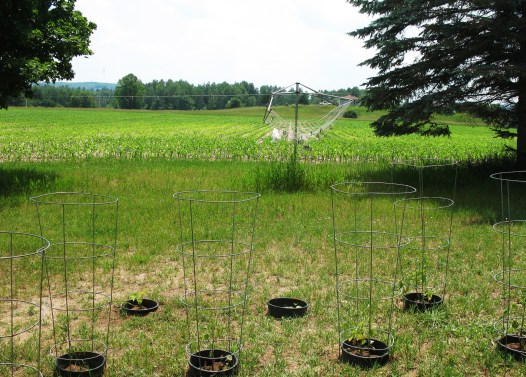 The view out our window.