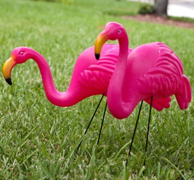 So kitch, they're okay