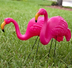 So kitch, they're okay