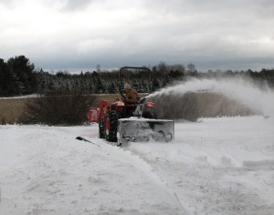 You can see where I get the idea.