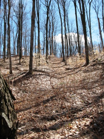 Believe it or not, that's the "road."