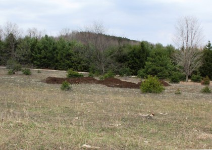 Not so much compost, after all.