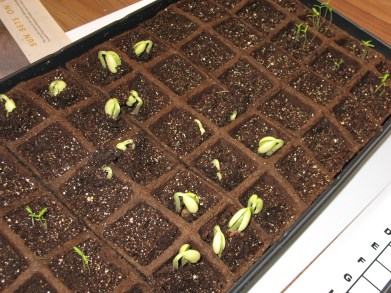 But growing by the day.