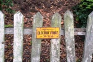 electric-fence