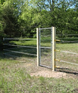 Looking deceptively innocent.