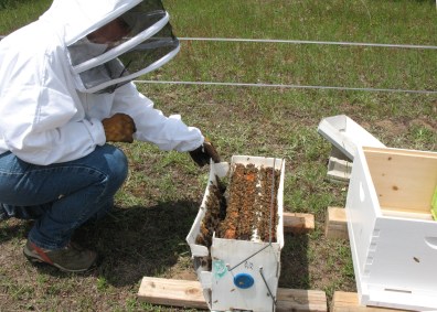 Opening up the "nuc" box.