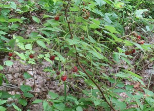 At the top of the incline...