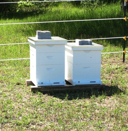 Too Close For Comfort